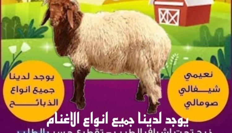 قصاب الكويت